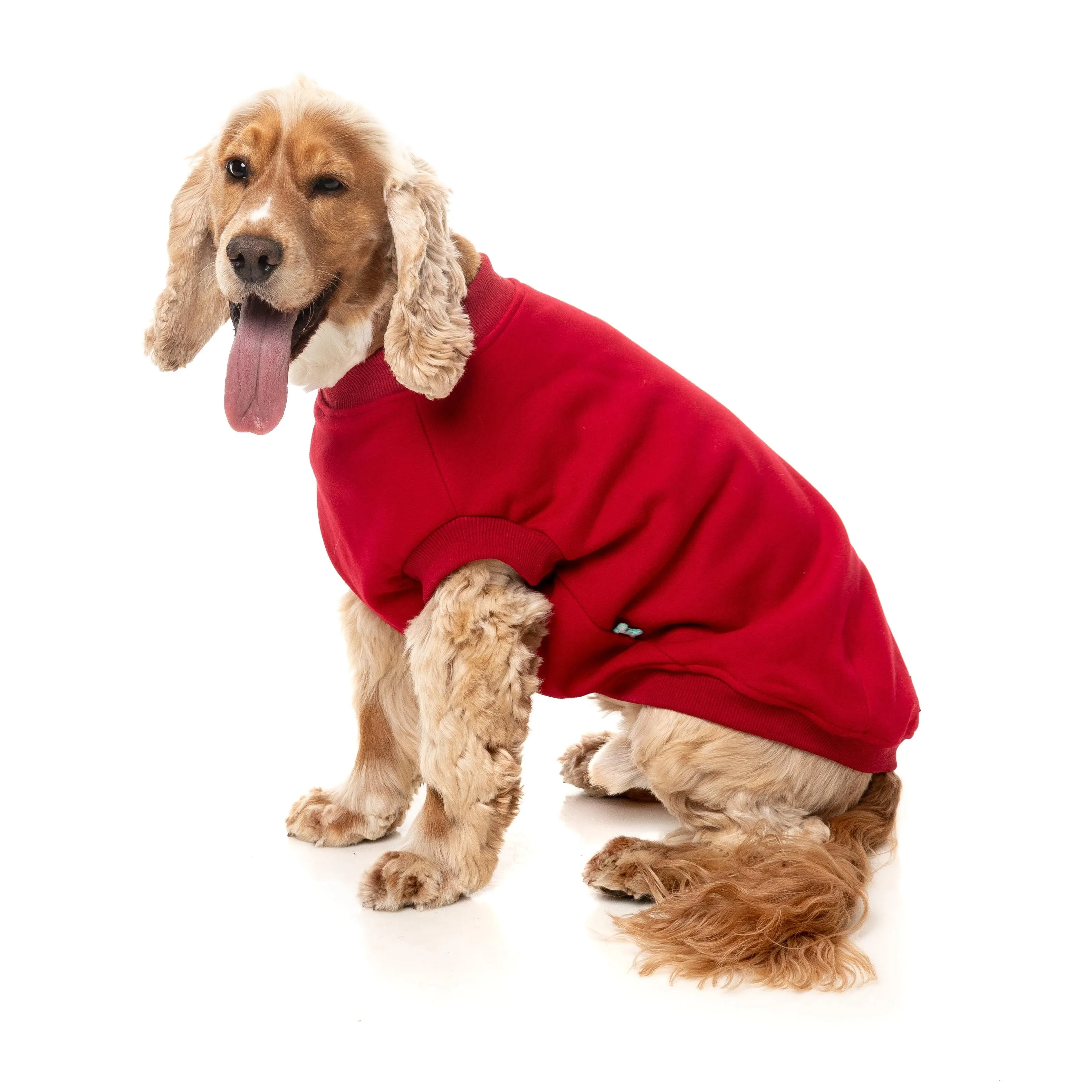 FuzzYard Dog Apparel Allday 25 Sweater Red Size 3