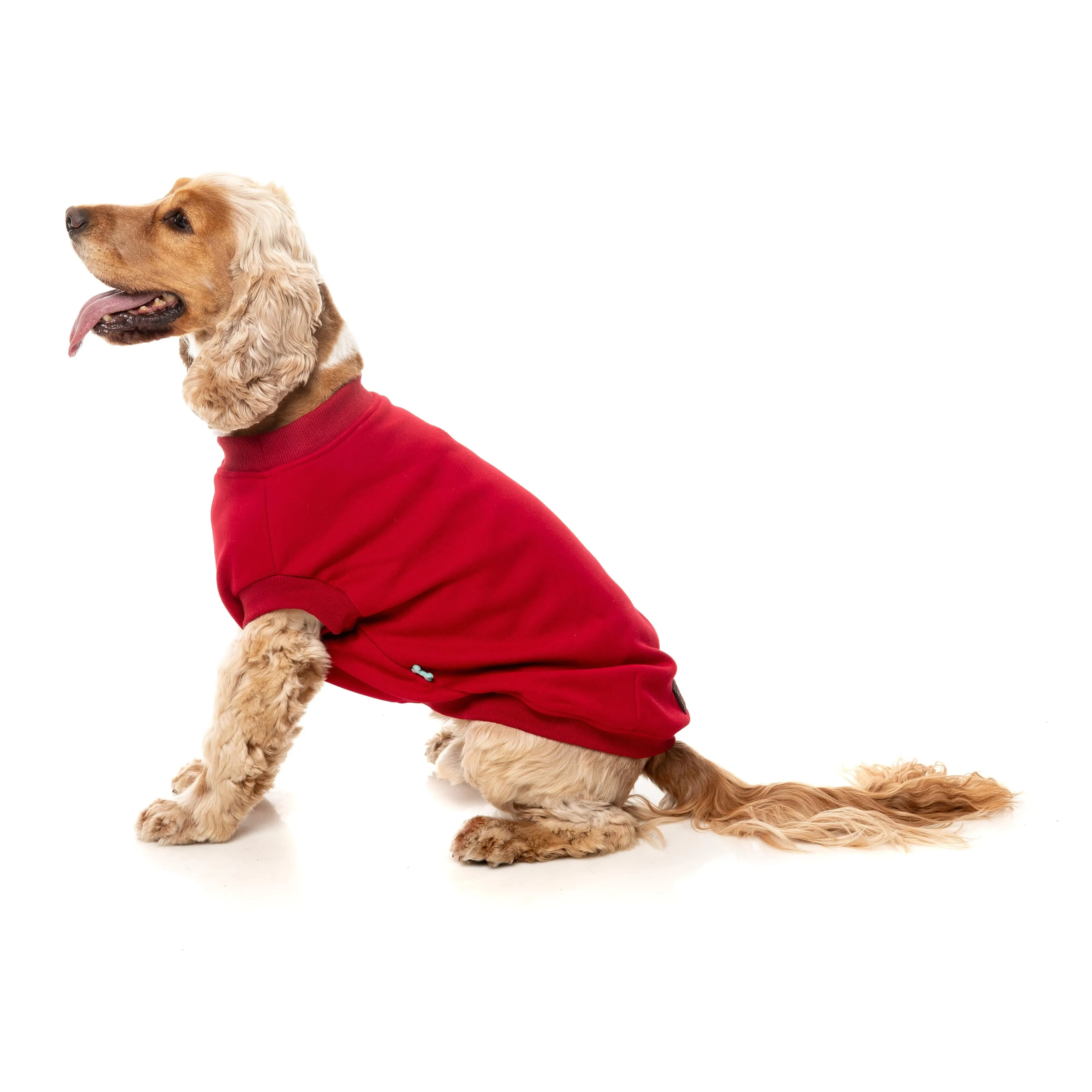FuzzYard Dog Apparel Allday 25 Sweater Red Size 3