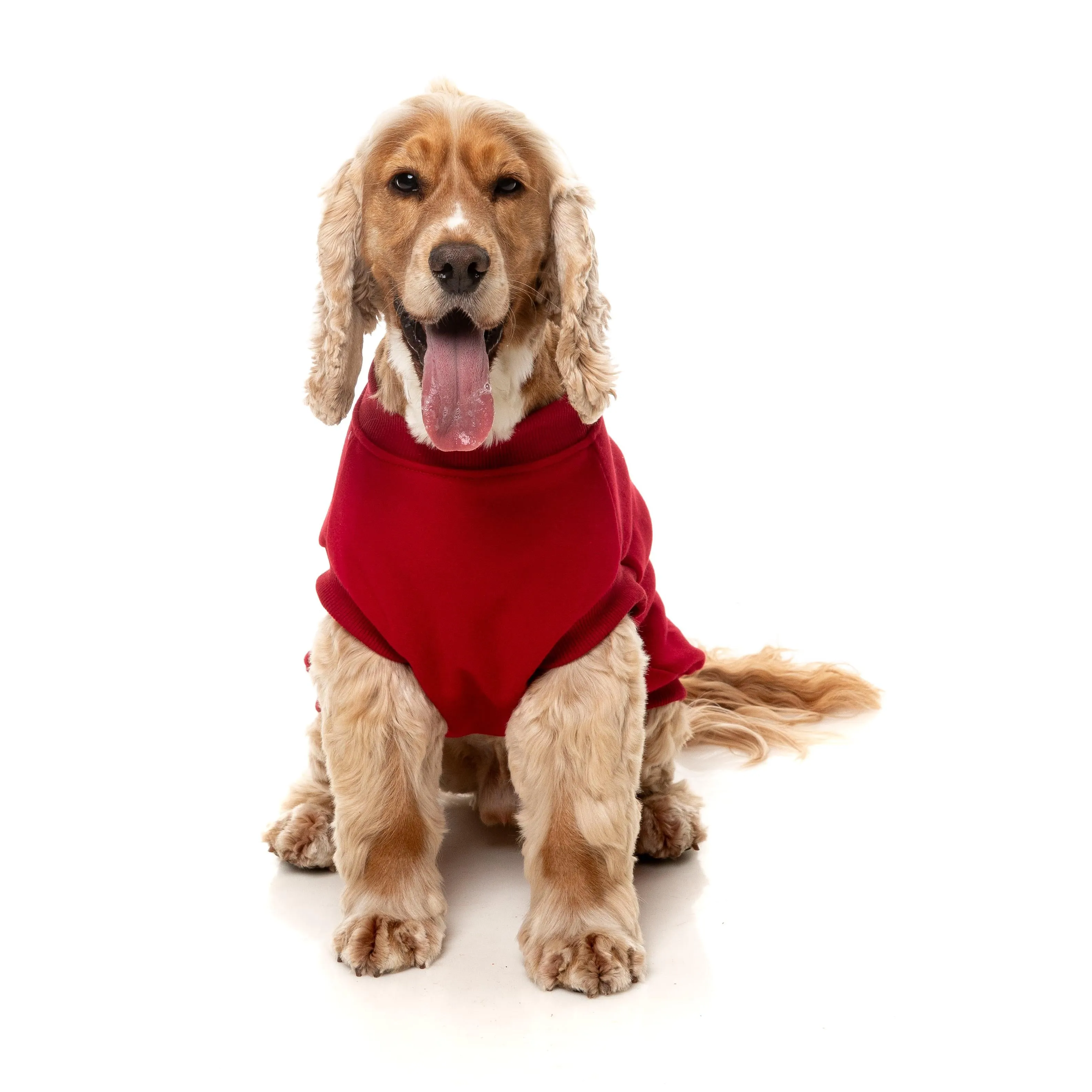FuzzYard Dog Apparel Allday 25 Sweater Red Size 3