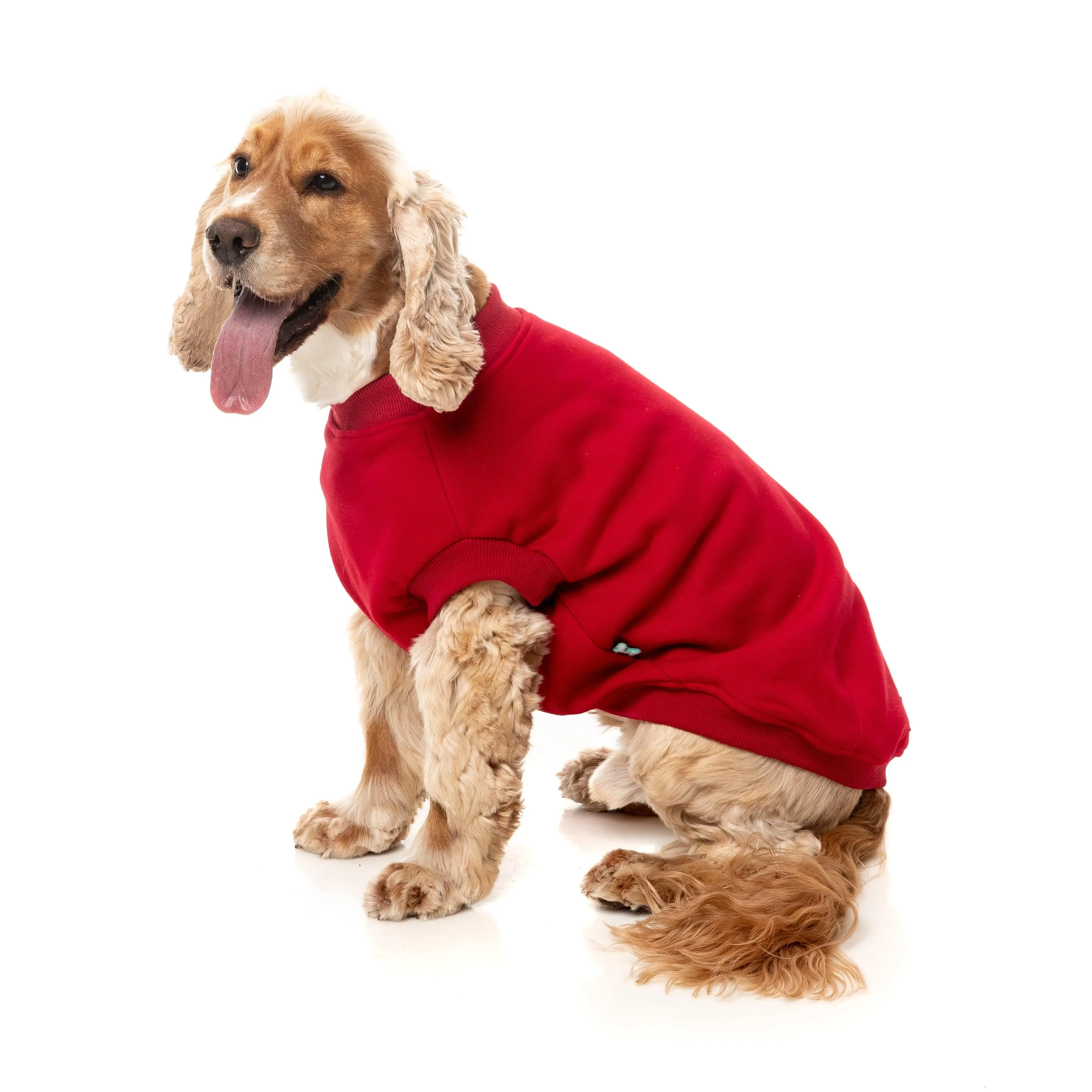 FuzzYard Dog Apparel Allday 25 Sweater Red Size 3